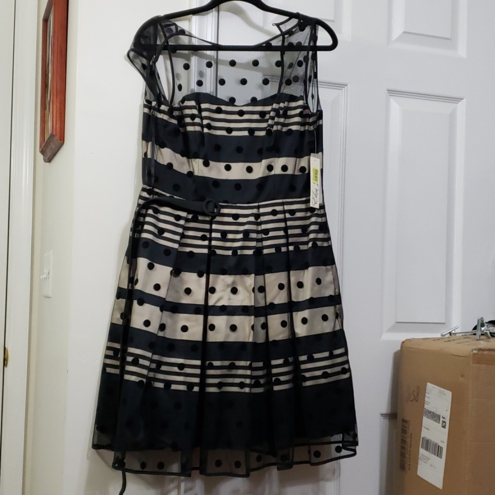 Eliza j dress lace belted gold and black size 6